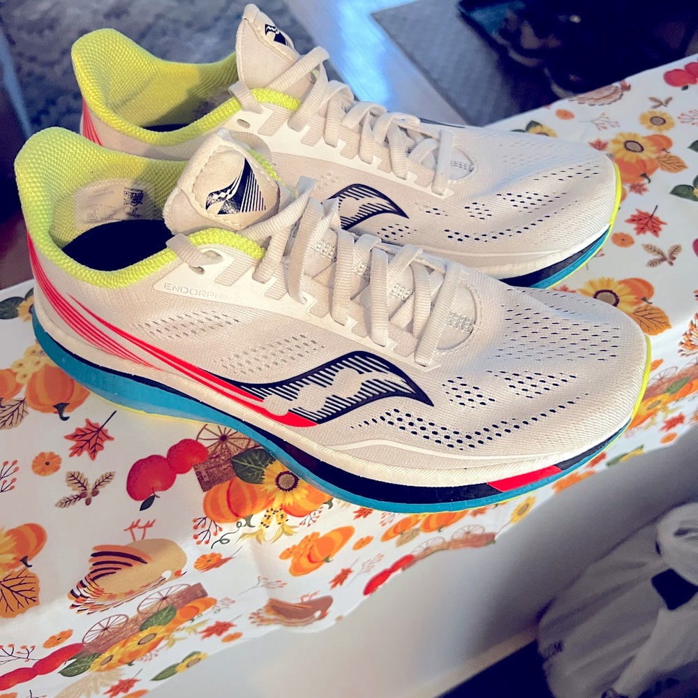 Sauconys Endorphin Pro Mens